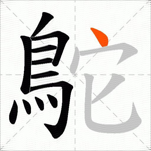 鴕