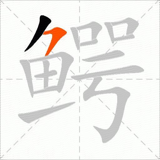 鳄