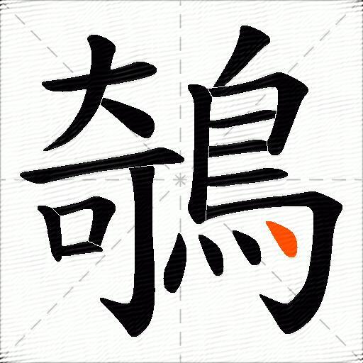 鵸