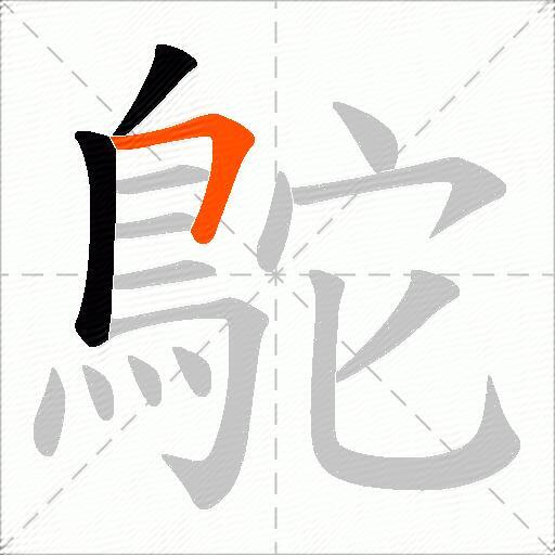 鴕