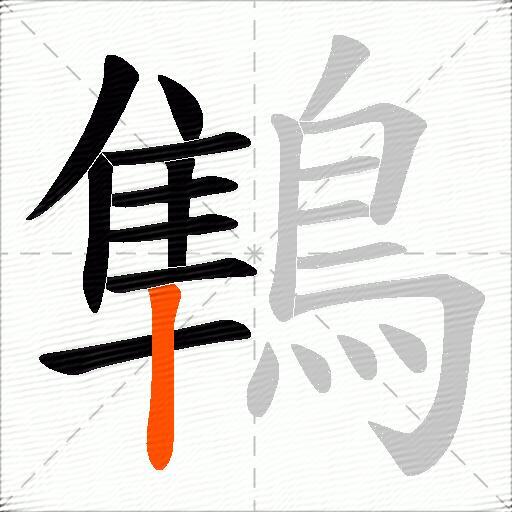 鶽