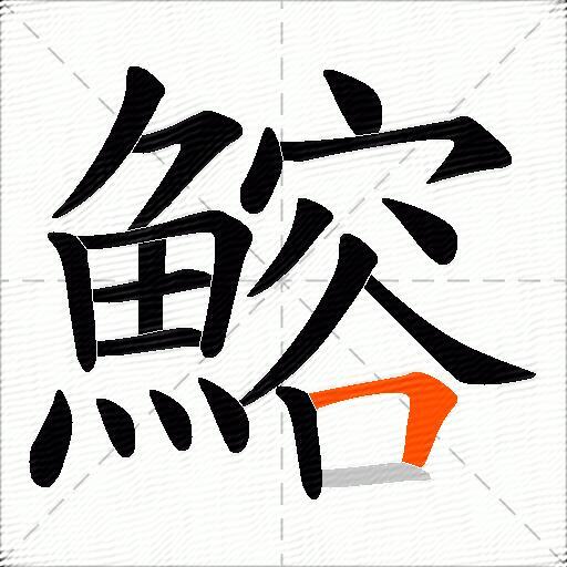 鰫