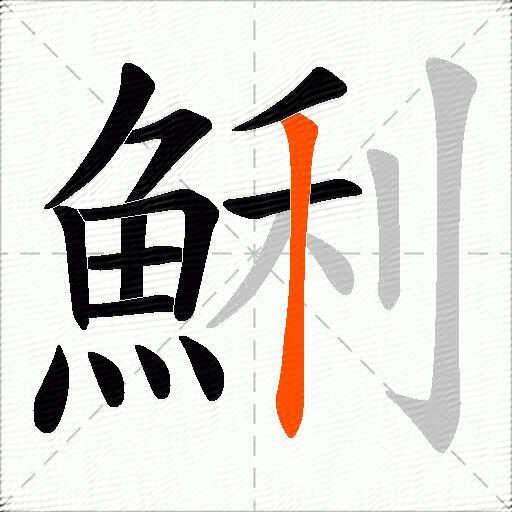 鯏
