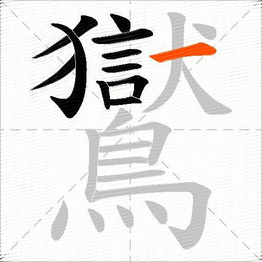 鸑