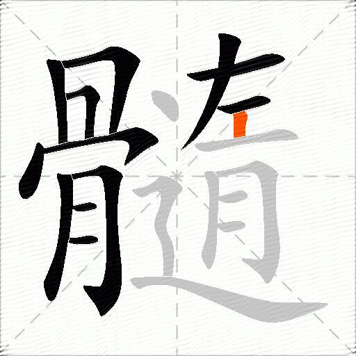 髓