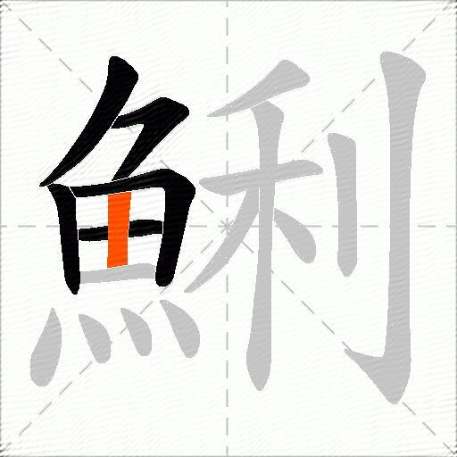 鯏