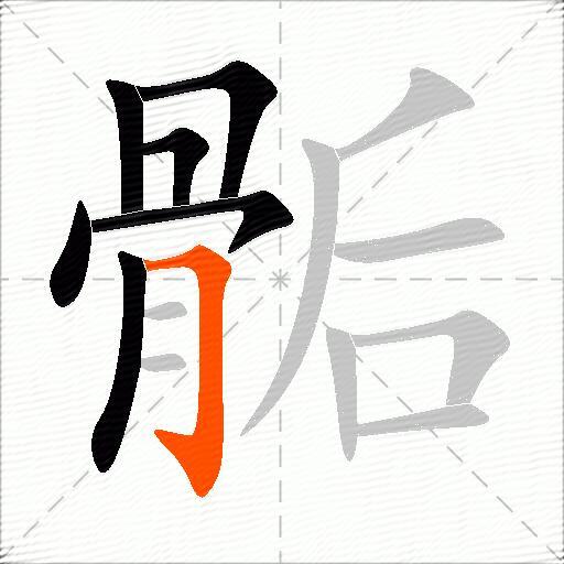 骺