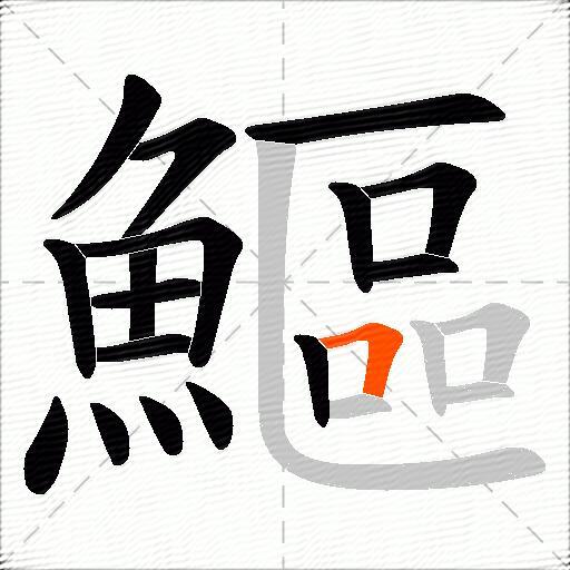 鰸