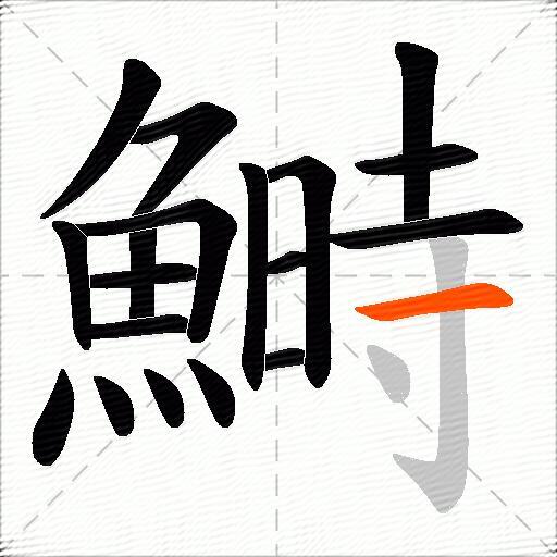 鰣