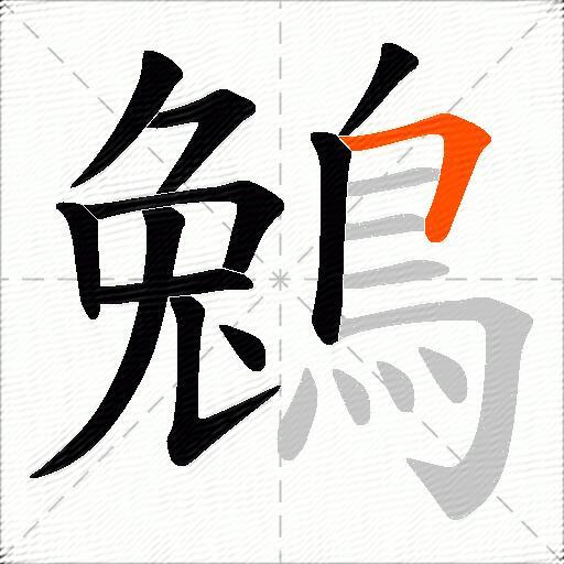 鵵