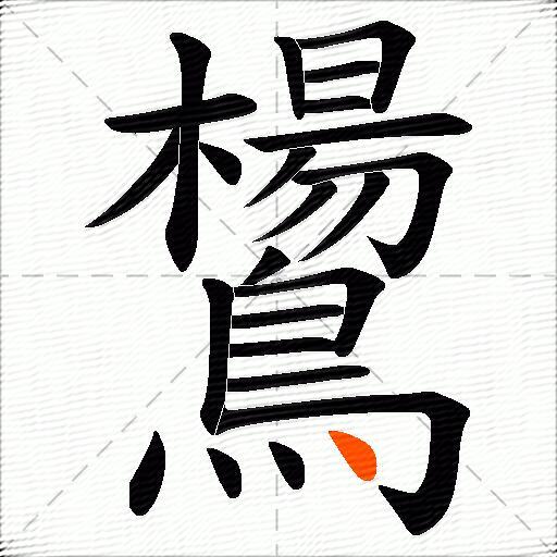 鸉