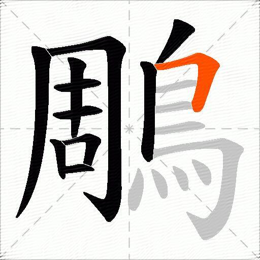 鵰