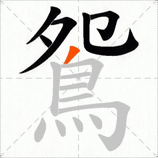 鴛