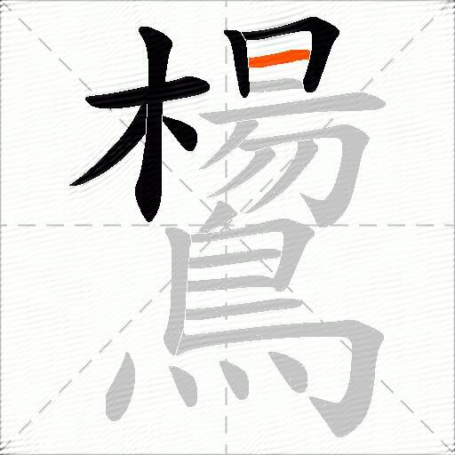 鸉