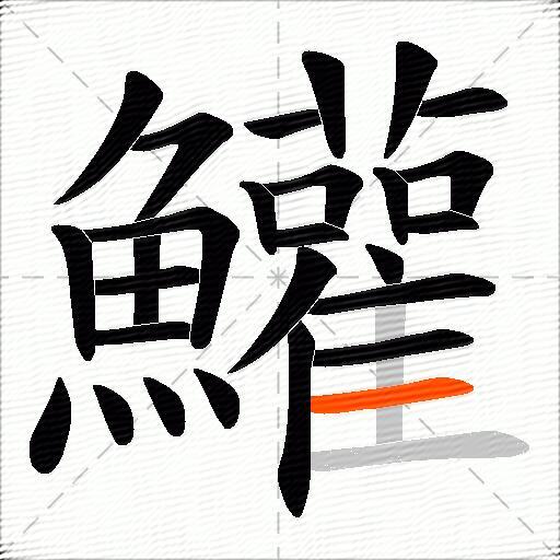 鱹
