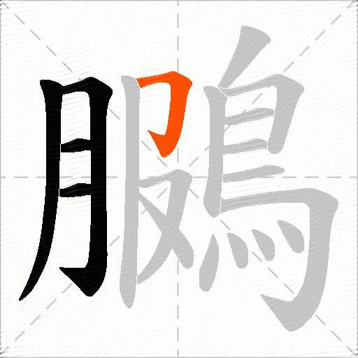 鵩