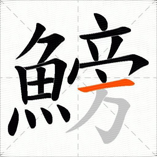 鰟