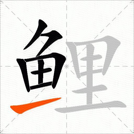 鲤