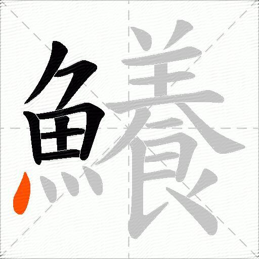 鱶