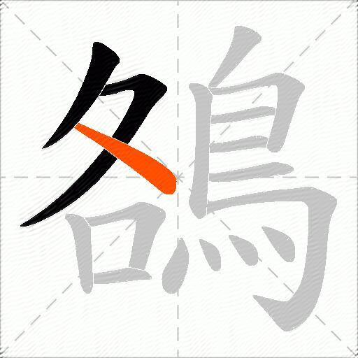 鵅
