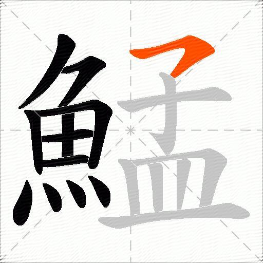鯭