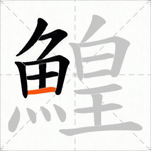 鰉