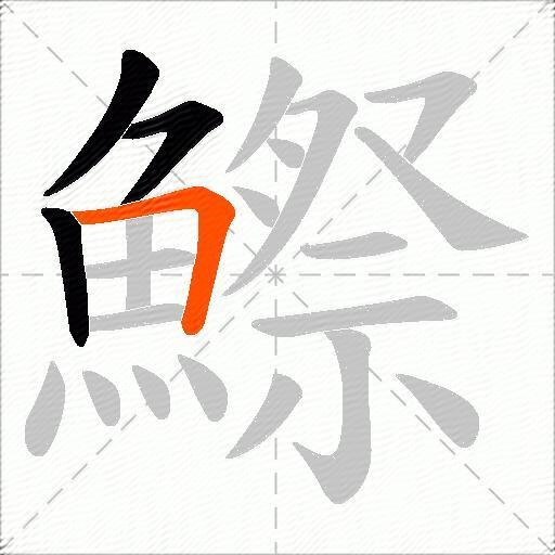 鰶
