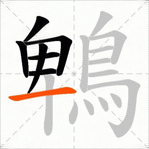 鵯