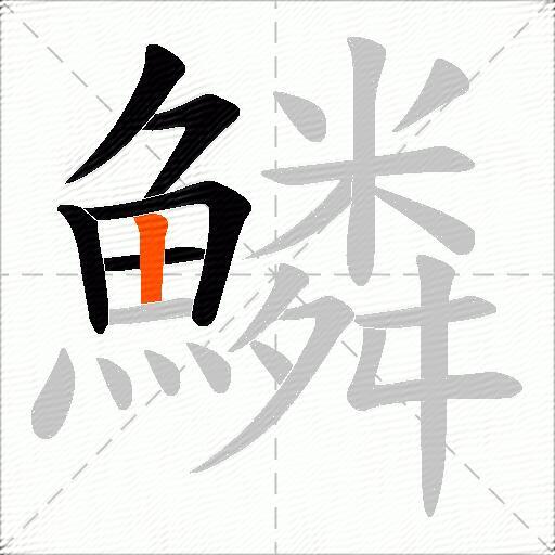 鱗
