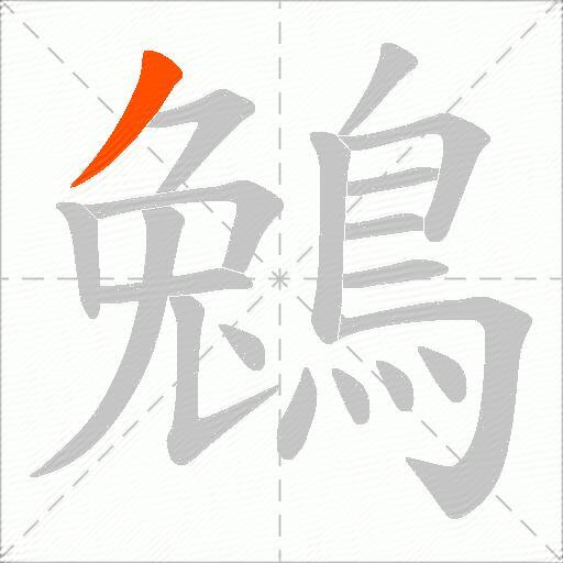 鵵