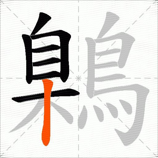 鷍