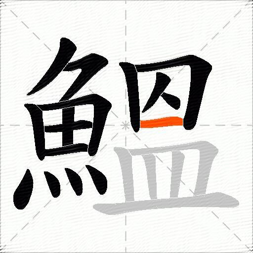 鰮