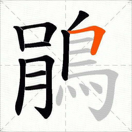 鵑