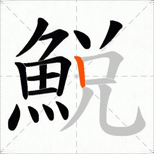 鮵