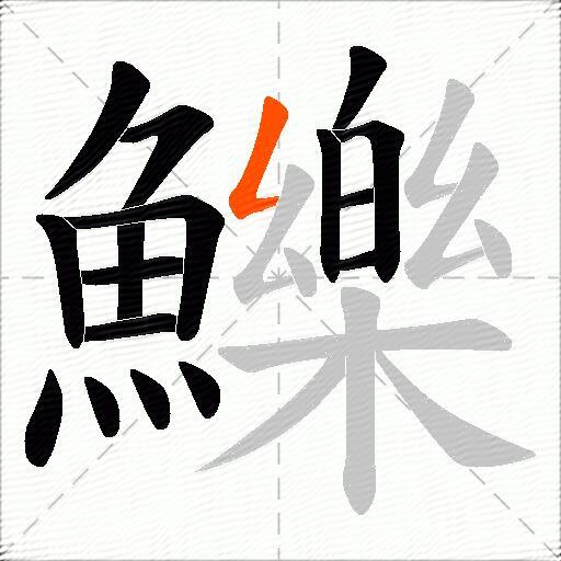 鱳