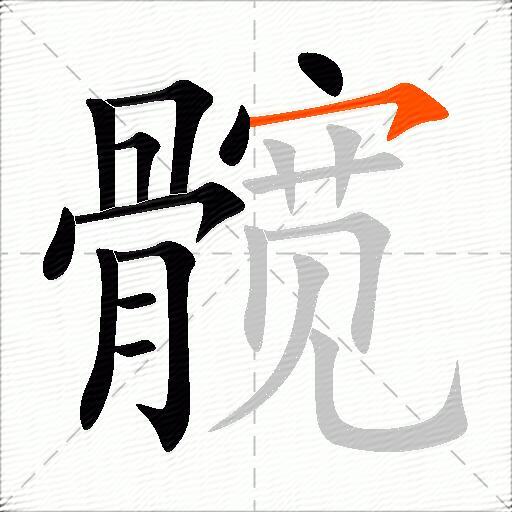 髋