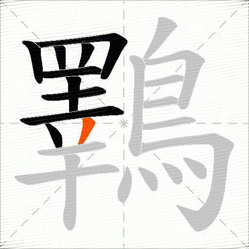 鸅