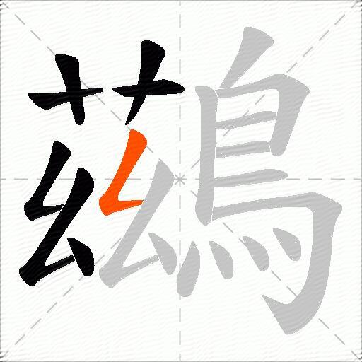 鷀