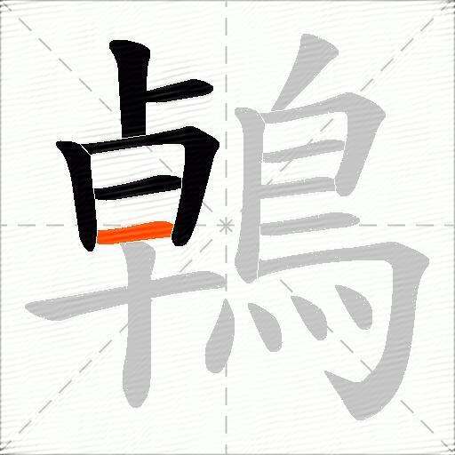 鵫