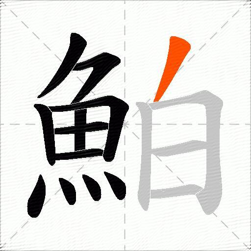 鮊