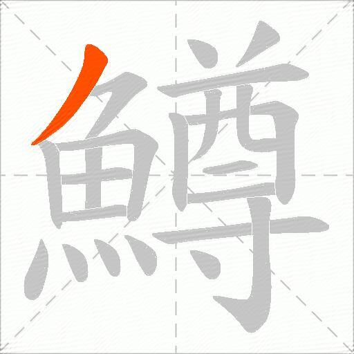 鱒