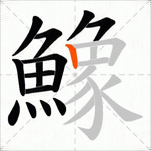 鱌