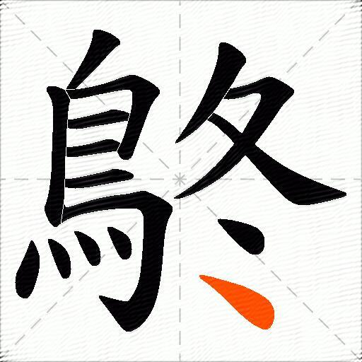 鴤