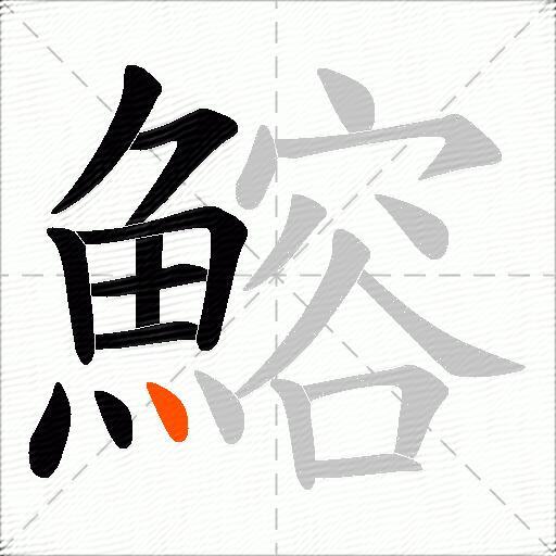 鰫
