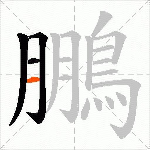 鵬
