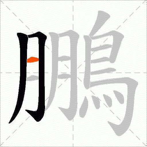 鵬