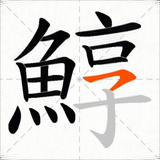 鯙