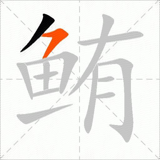 鲔