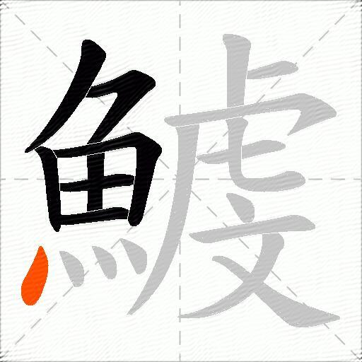 鰬