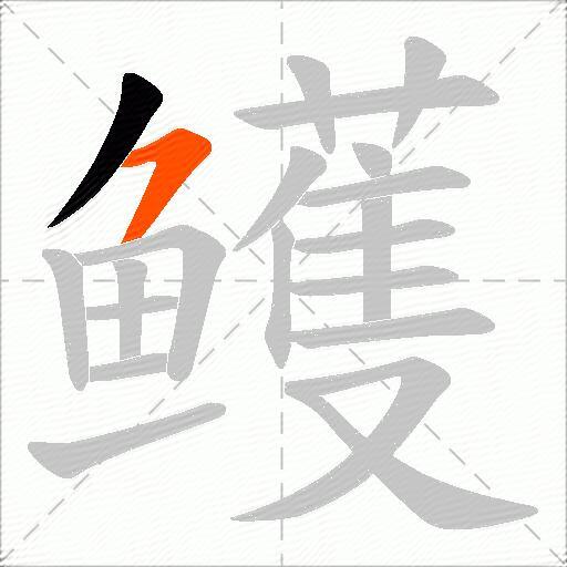 鳠